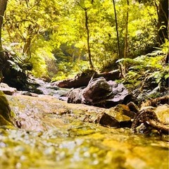 初秋の高尾山で特別活動♬