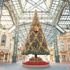 中学3年生の入学相談が増えています