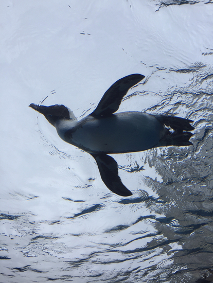 【ＪＲ山手線　大塚駅前】〇〇も近かったんです〜その2