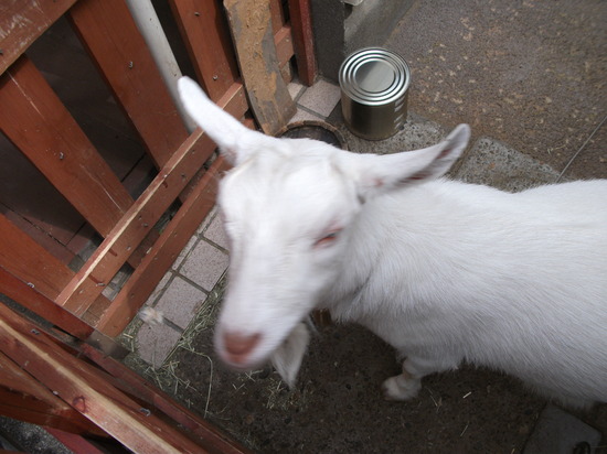 風景画に挑戦です！ 【野田キャンパス】【通信制高校】