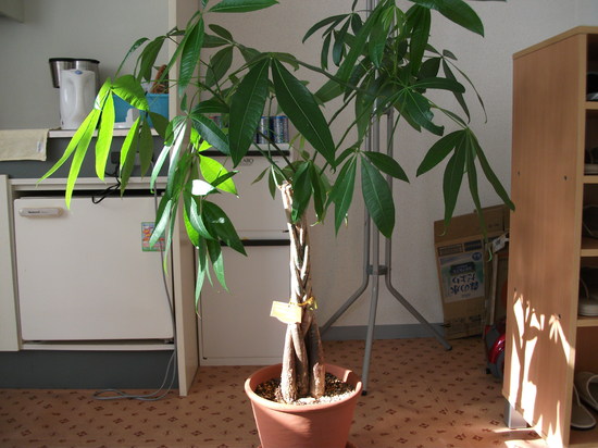 気持ちのよい一日でした。 【野田キャンパス】【通信制高校】