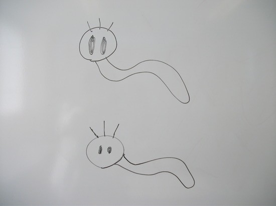 梅雨明けは近いですねー! 【野田キャンパス】【通信制高校】