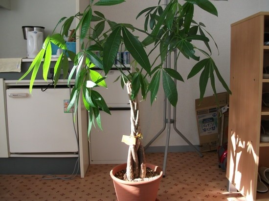 気持ちのよい一日でした。 【野田キャンパス】【通信制高校】