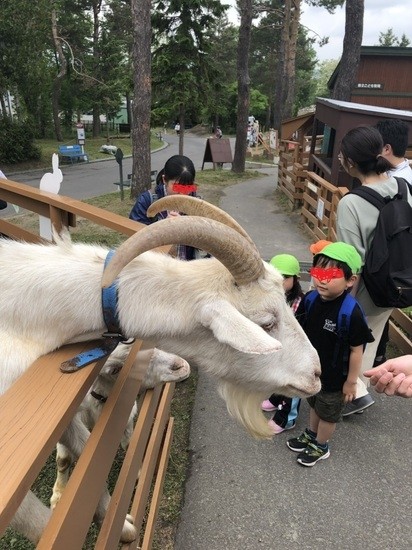 先日、修学旅行がありました! 【野田キャンパス】【通信制高校】