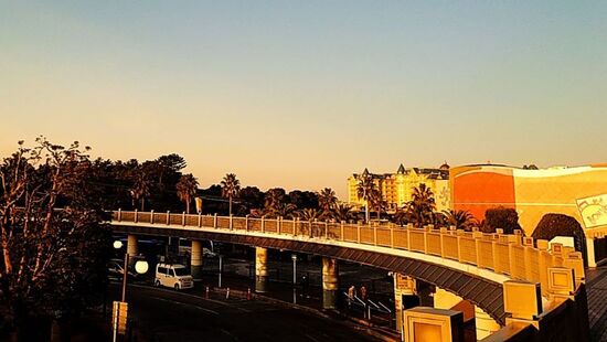 ディズニーランドツアー(2025.1.15)