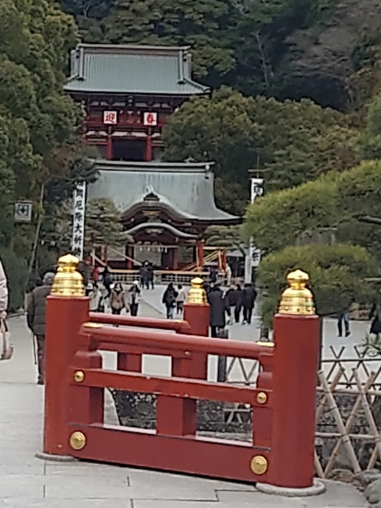 鎌倉ツアー(2026.1.21)