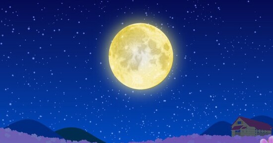 市原キャンパス🌎特別活動～日本科学未来館～🌎