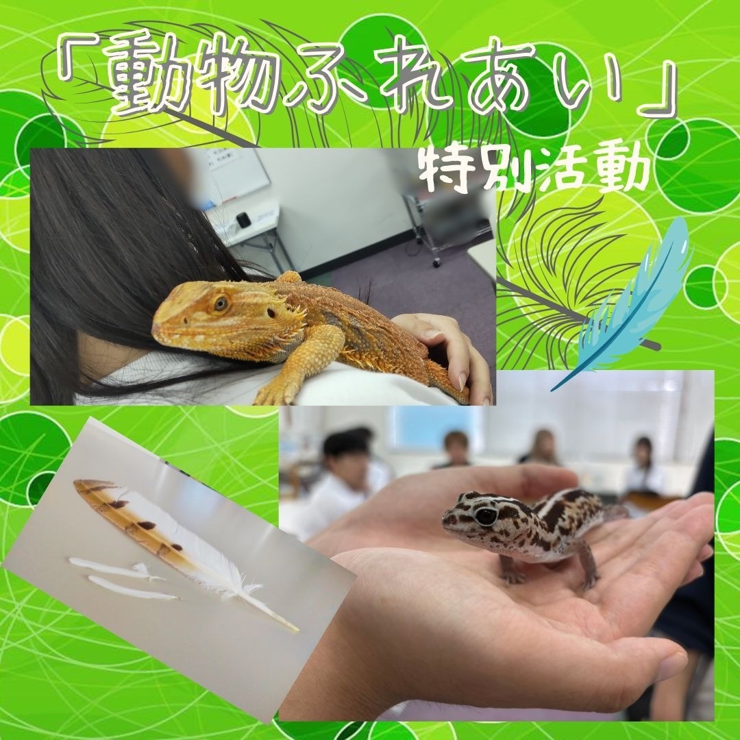特別活動 動物ふれあい講演会