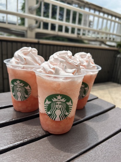 ランチミーティング（ちょっと一休み）