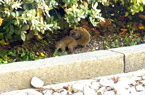 鎌倉ツアー(2024.11.13)