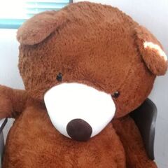 入学相談会　開催中！