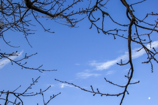 ２月の個別相談会のご案内