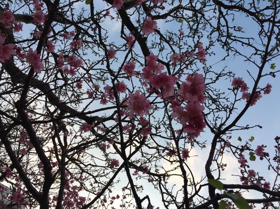 2月の個別相談会