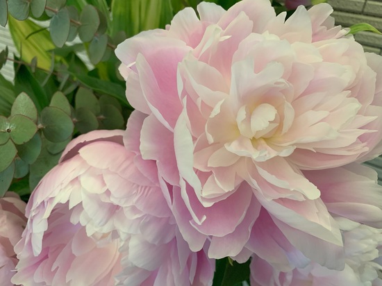 ゴールデンウイーク休業について