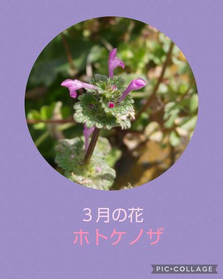 通信制高校　年度末です