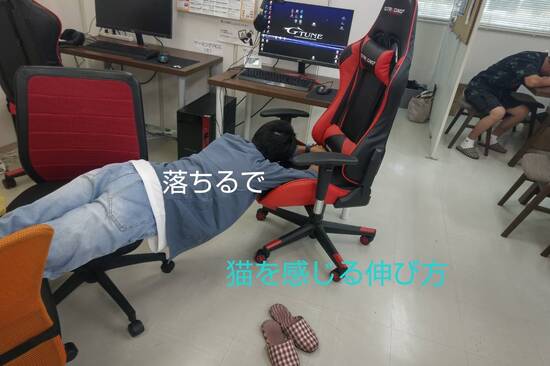 通信制高校　やることやったら猫になる