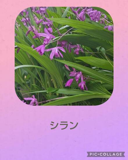 通信制高校　卒業生も新入生も転入生も頑張っています