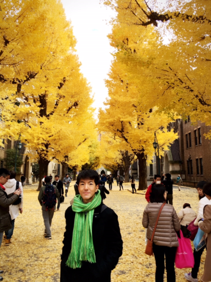 東京大学のいちょうが、きれいです