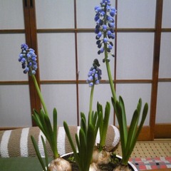 10/27(土)大宮ソニックシティで先生に会おう！