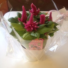 10/27(土)大宮ソニックシティで先生に会おう！