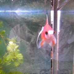 夏期集中オープンキャンパス終了（その2）