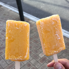 配布物ボックスを確認