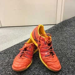 先生に会えるよ！