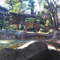 明けましておめでとうございます