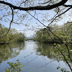 7月入学生募集中！！