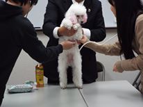今日は進路学習で、動物の仕事がテーマだったので、動物たちが来てくれました～