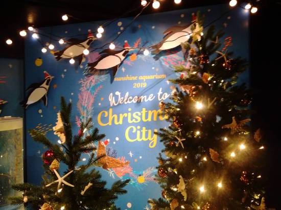 校外学習～サンシャイン水族館～