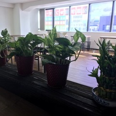 松原学習センター開設！