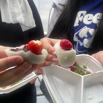 🩷🍓春の遠足　いちごがり🍓🩷