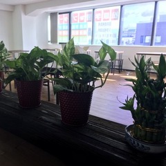 一期生大募集！