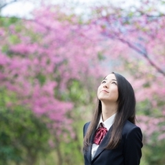 日曜開催！入学個別相談会のお知らせ