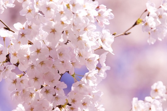 令和4年度　新転編入生！