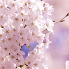 2026年度　新転編入生のキャンパス見学会開催中