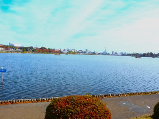 【KG水戸】特別活動（千波湖散策）