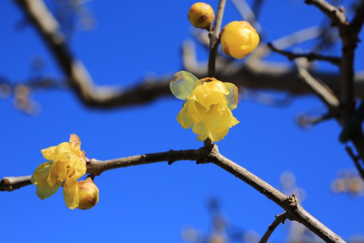 【KG水戸】見学・出願書類　受付中☆彡