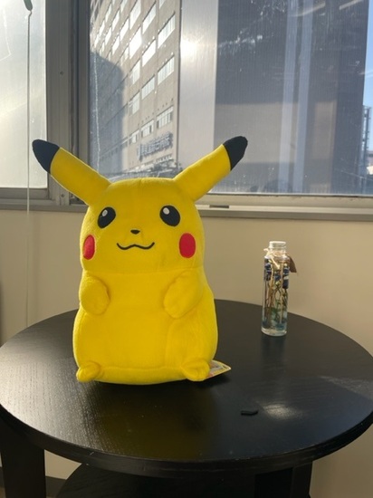 キャンパスが開校(移転)しました