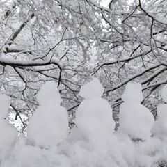 冬季休業のお知らせ