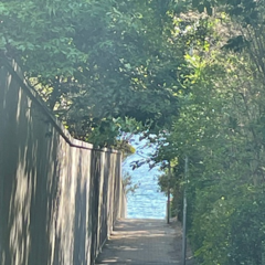 夏の個別相談・教室見学　開催中！！