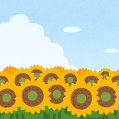 【８月】夏の個別相談・教室見学を開催します。