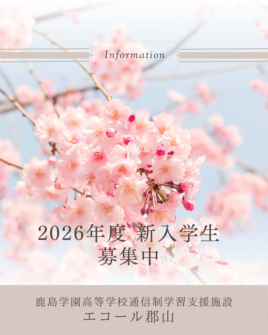 2026年度新入学生願書募集中🌸