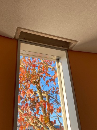 秋晴れが続いています