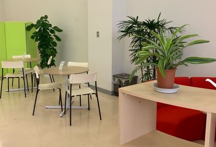 7/17(日）　編入・転入希望者のための相談会開催