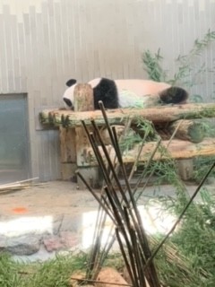 9月の校外学習のお知らせ