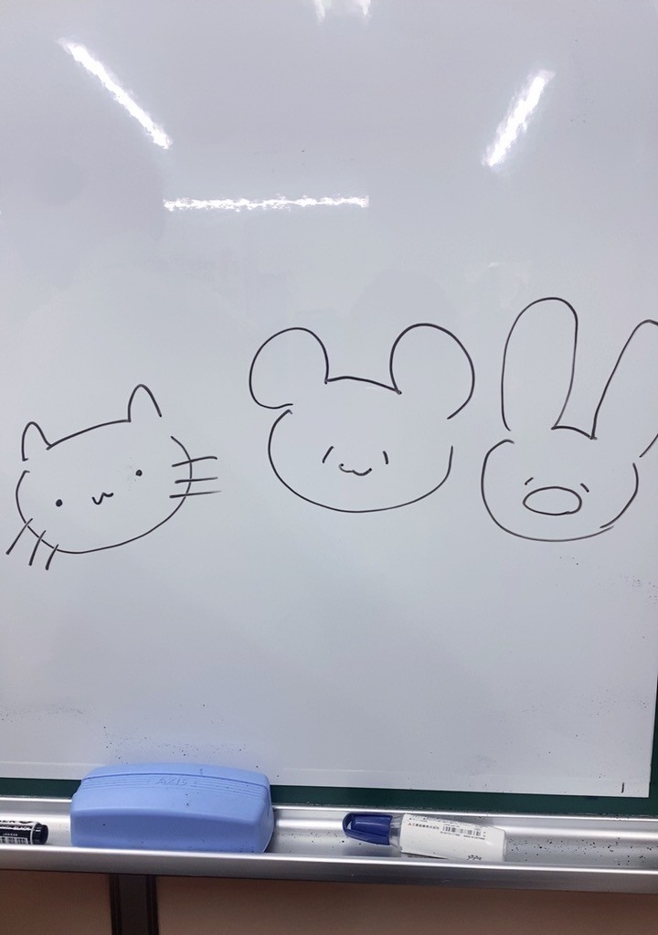 個別相談会開催