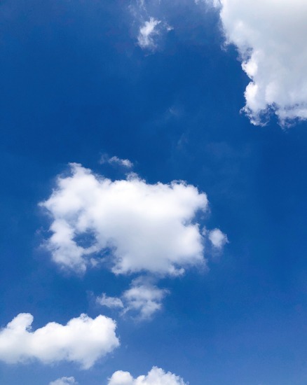 猛暑もそろそろ終盤に