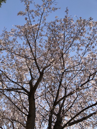 そろそろ新学期が始まります